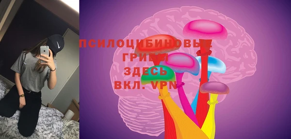 ГАЛЛЮЦИНОГЕННЫЕ ГРИБЫ Кулебаки