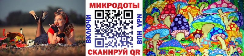 Галлюциногенные грибы ЛСД Братск