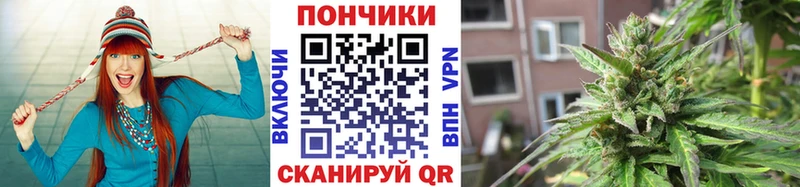 где купить наркоту  Братск  Бошки Шишки Bruce Banner 